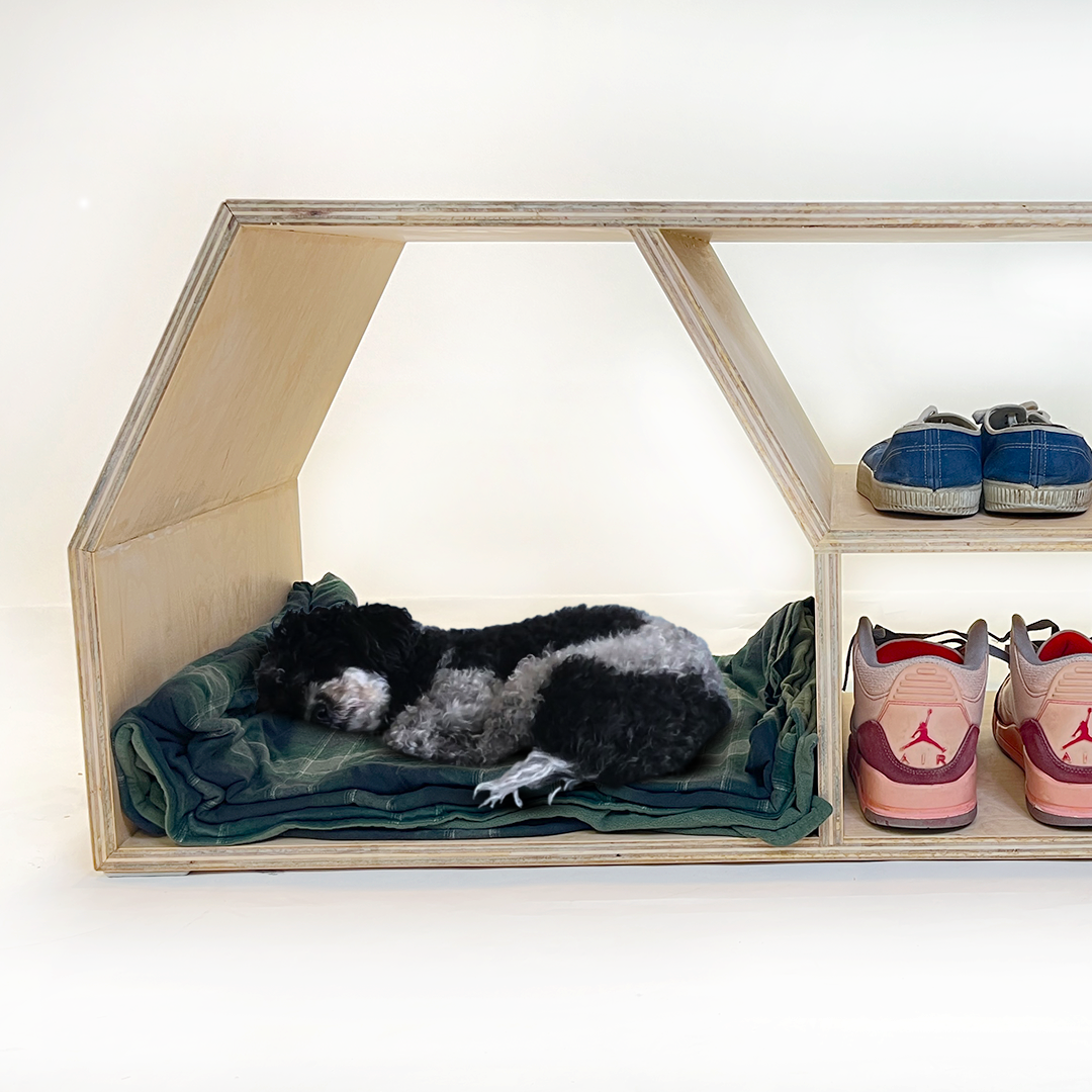 Doghaus — the dog asleep in the den beside stored shoes